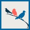 Three Birds, One Stone