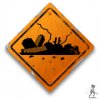 Razed to the Ground!