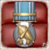 The Silver Arms of Gallia