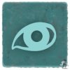 Eagle's eye