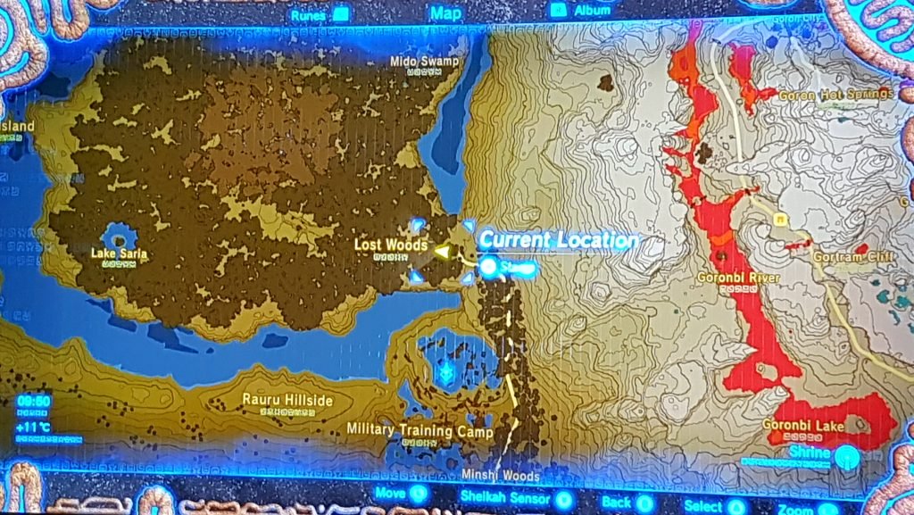 how to get through the lost woods in zelda breath of wild