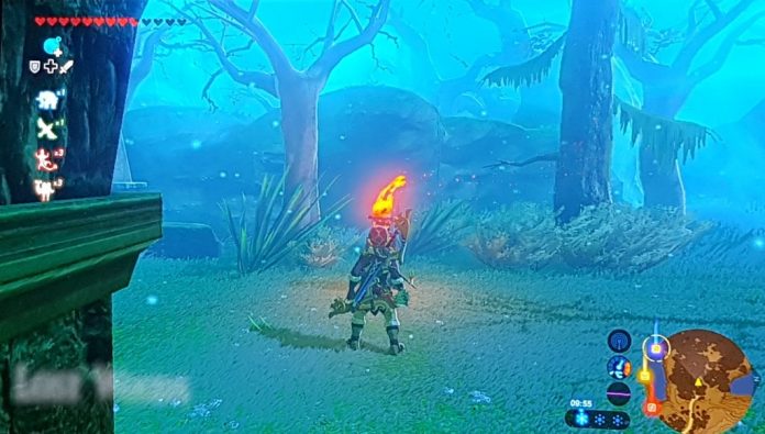 how to get in the lost woods breath of the wild