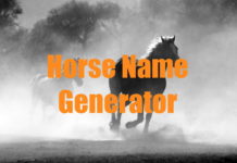 Horse Name Generator