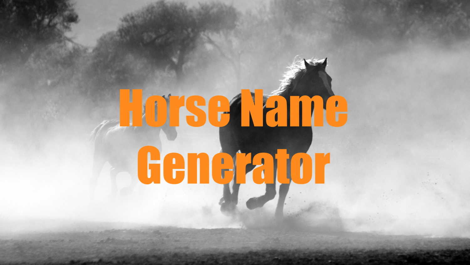 horse-name-generator-quiz-quizony