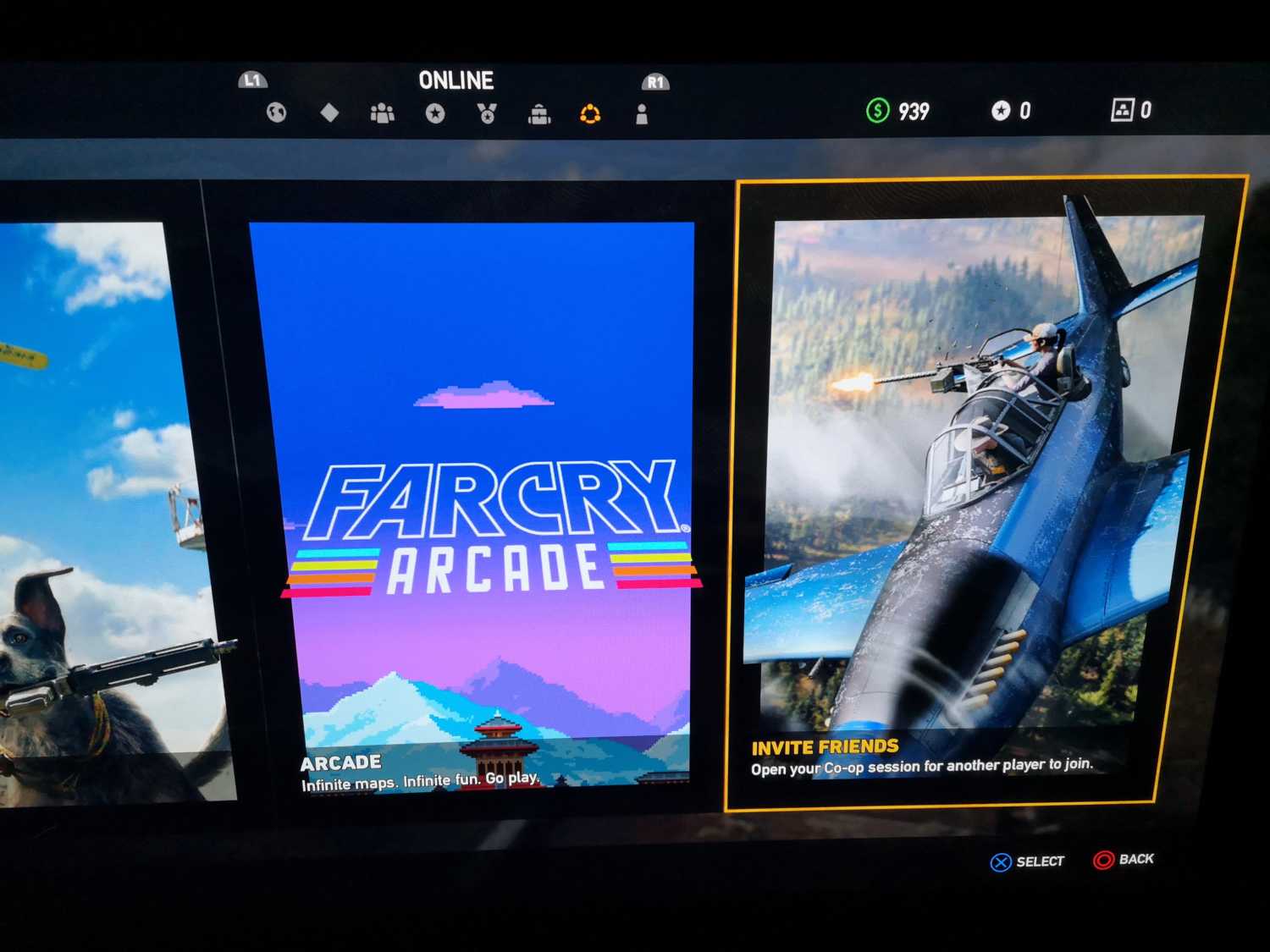 Invite friends farcry 5 coop