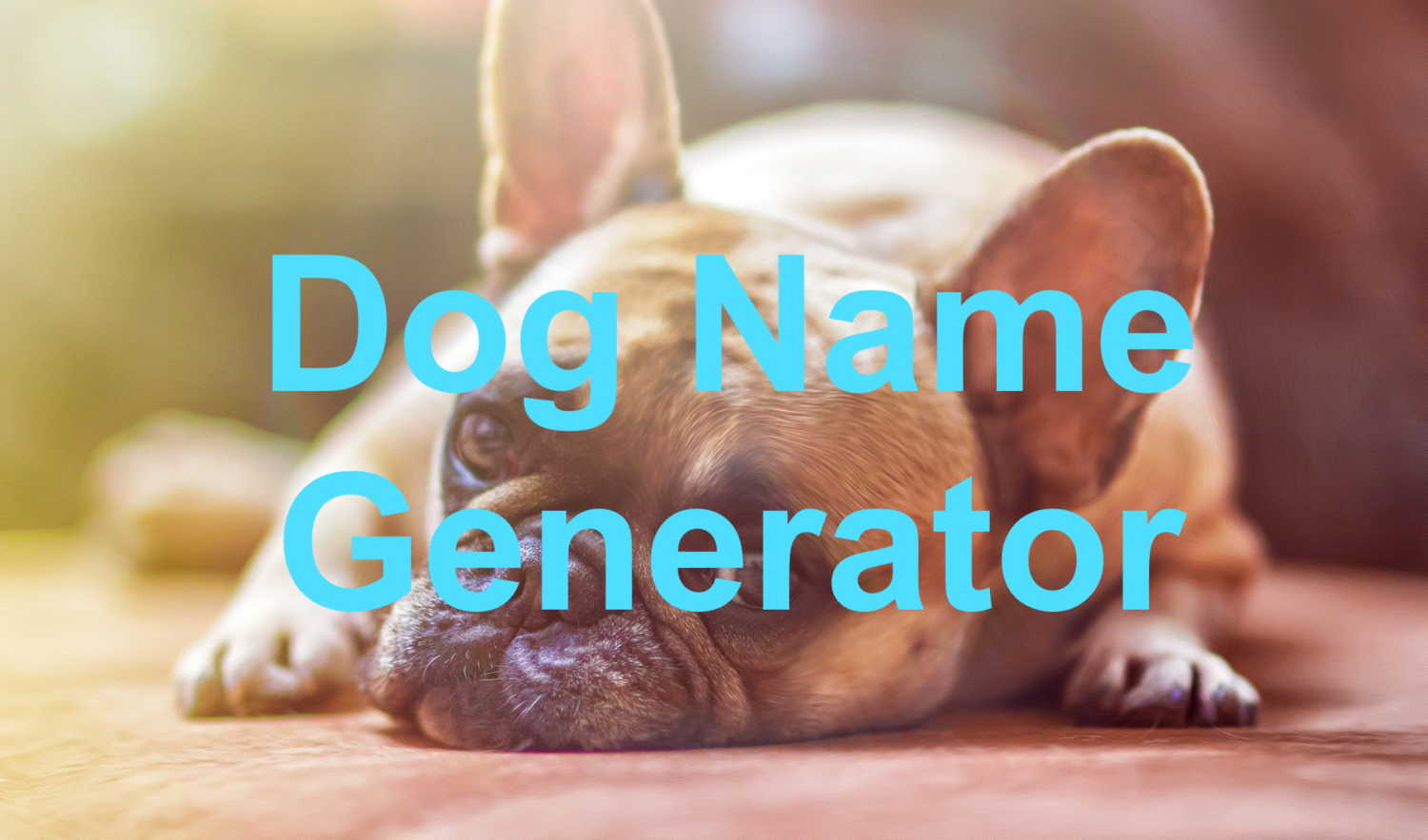 Dog Name Generator - Random Name Generators