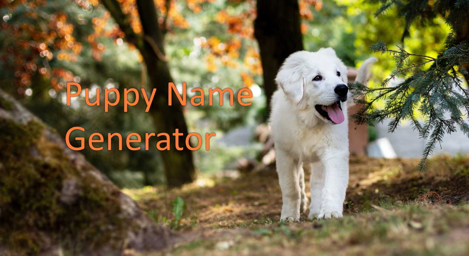 puppy name generator