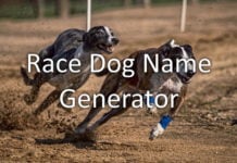 Race Dog Name Generator