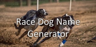 Race Dog Name Generator