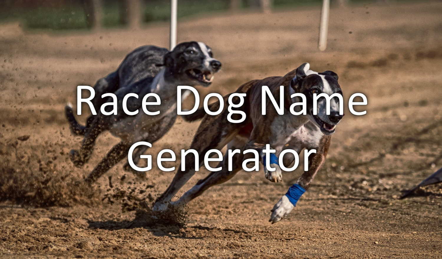 race dog name generator