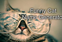 Funny Cat Name Generator