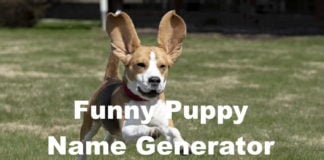 Funny Puppy Name Generator