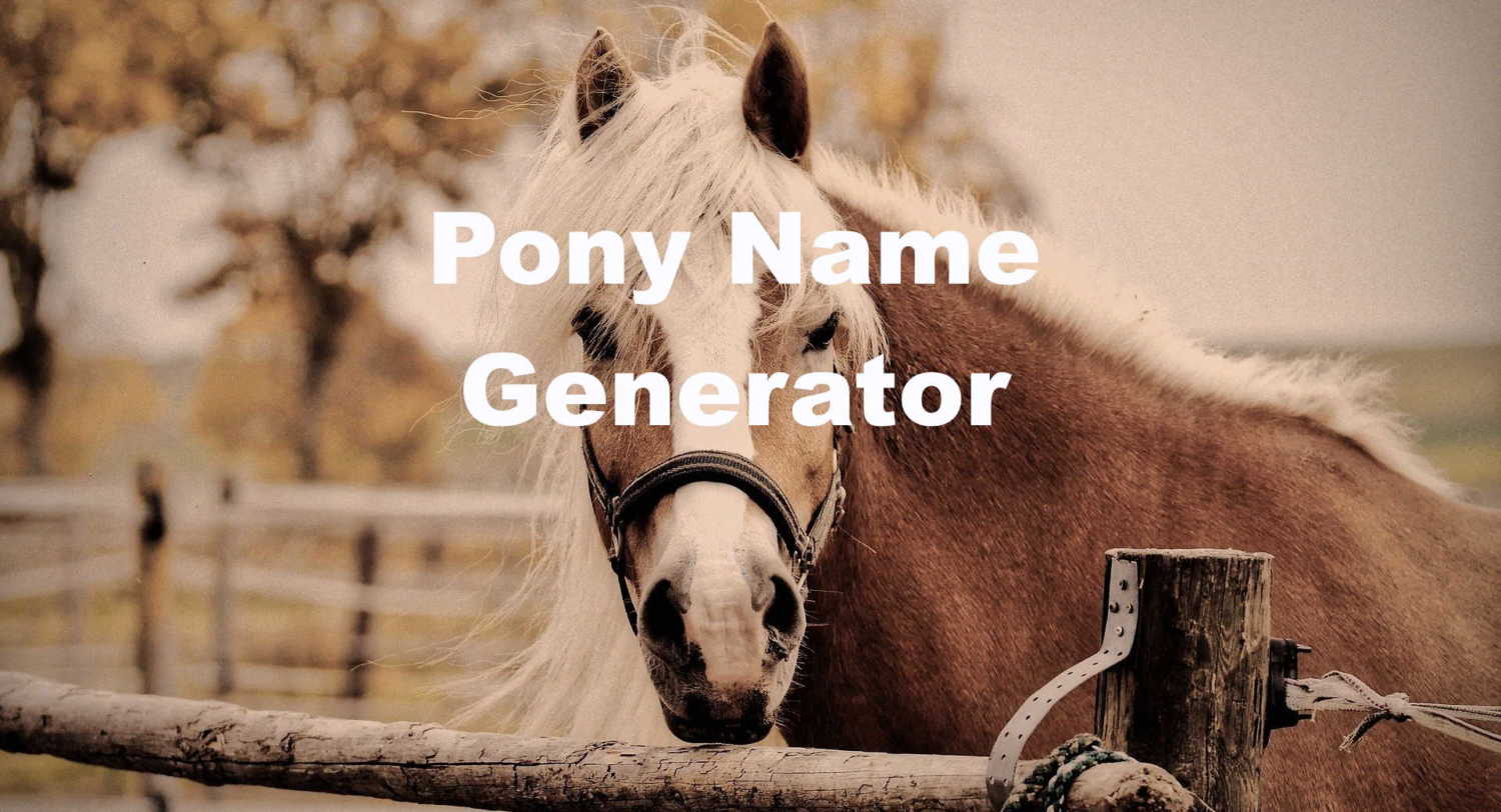 pony name generator