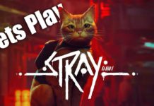 Let's Play Stray #1 - Lion Of The Slums