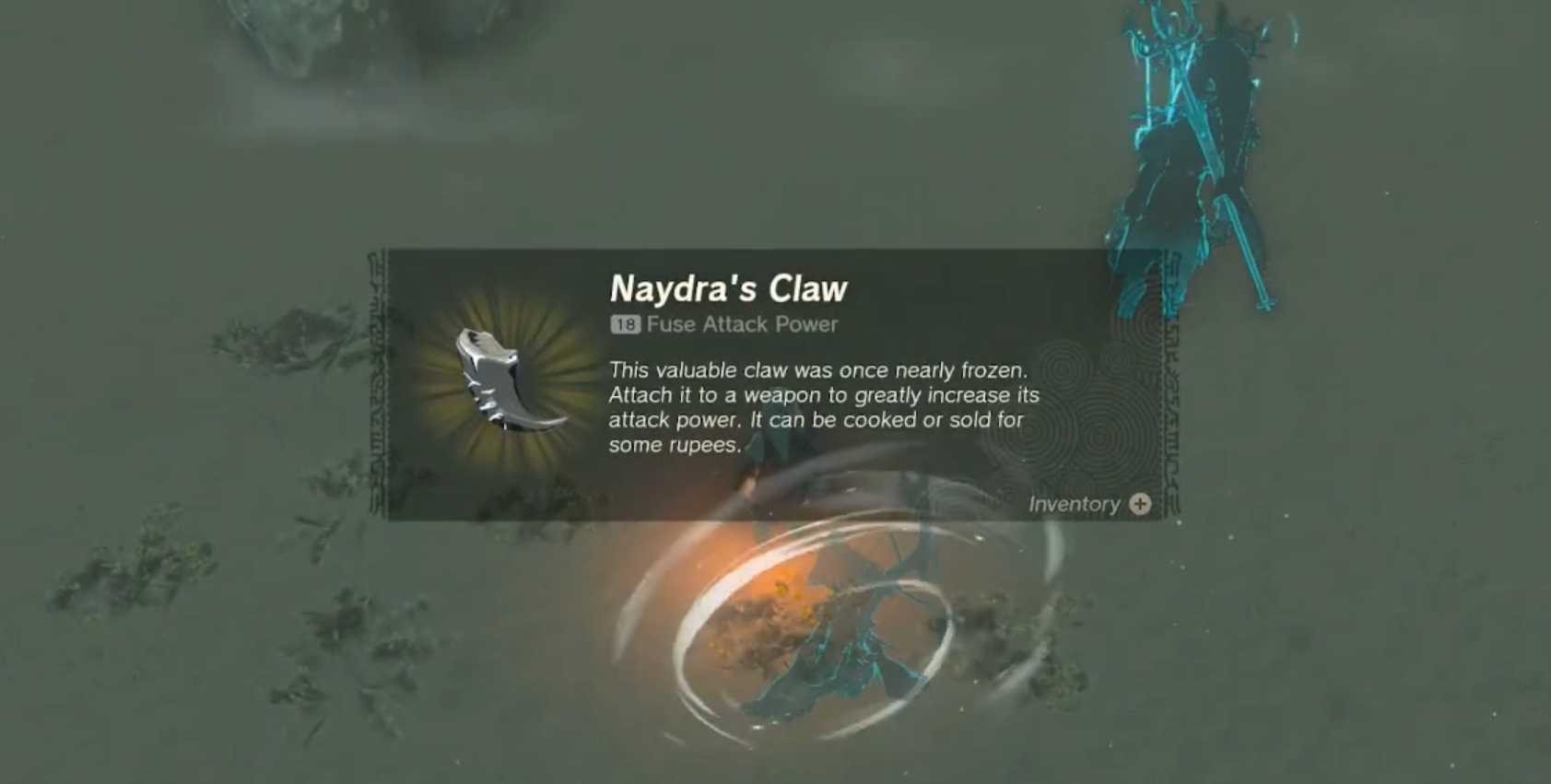 naydra claw