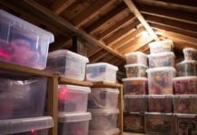 How To Safely Store Video Game Discs In The Attic